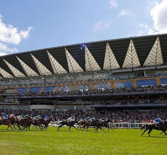 Limerick Racecourse showing a horse race