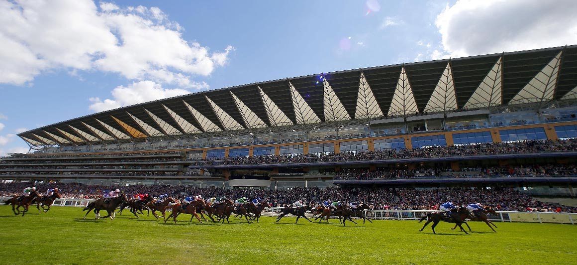 Limerick racecourse