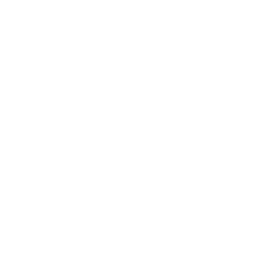 law society of ireland